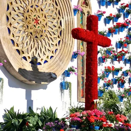 El Rincon De Orive *