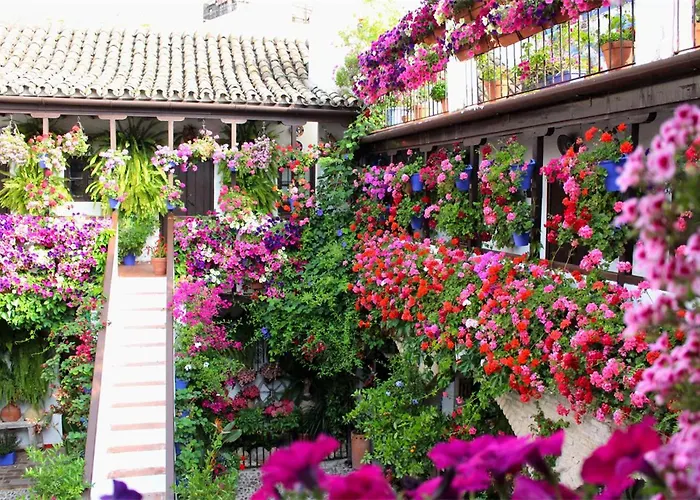 El Rincon De Orive 코르도바